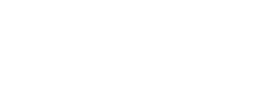 TH Local WordPress